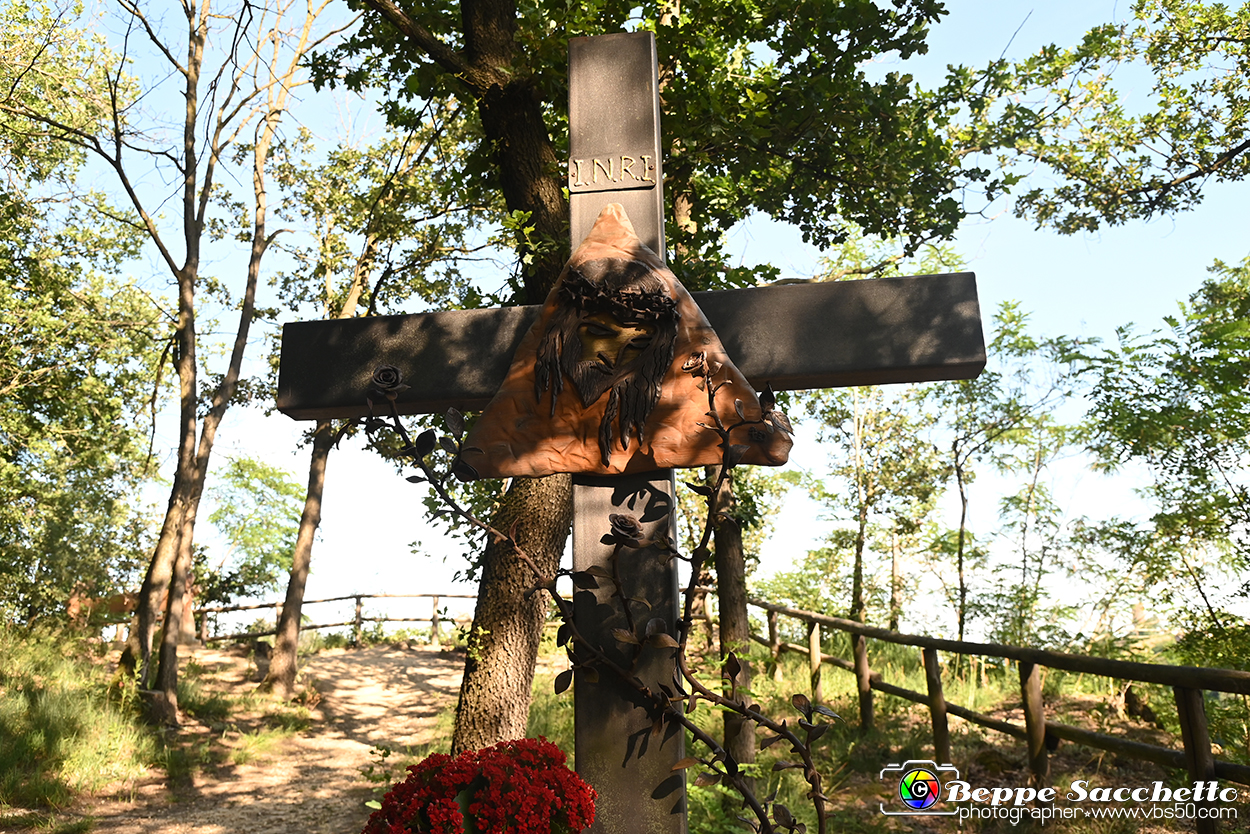 VBS_4747 - Il bosco fatato - Montaldo Roero.jpg